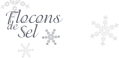 Flocons de sel 