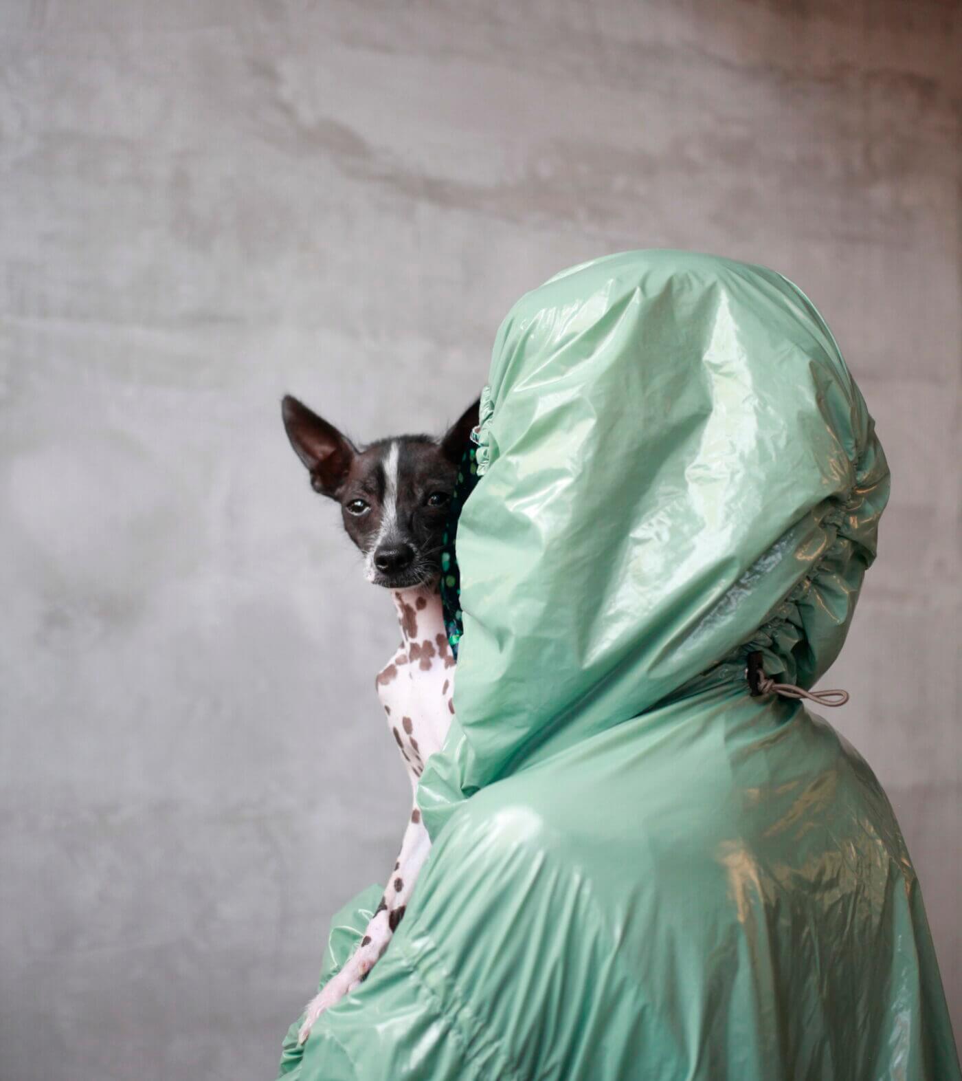 picture of a person wearing a green raincoat, holding a dog