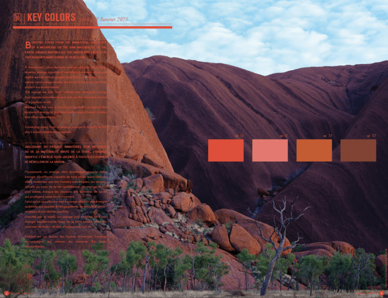 Jaillissant du paysage immatériel d’un métavers ou de la matérialité brute de la terre, l’orange insuffle l’énergie sous-jacente à toutes les formes de rébellion de la saison.
