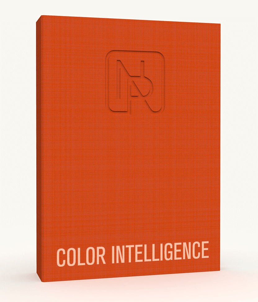 COLOR INTELLIGENCE SPRINGSUMMER 2025 NellyRodi