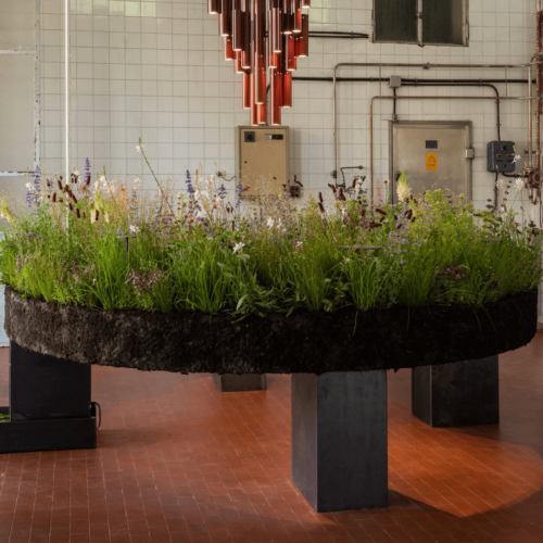 Caffè Populaire par Lambert & Fils / Image Arseni Khamzine.