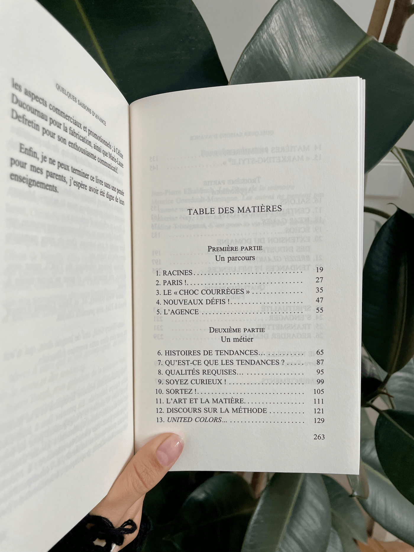 Table des matières du livre Nelly Rodi