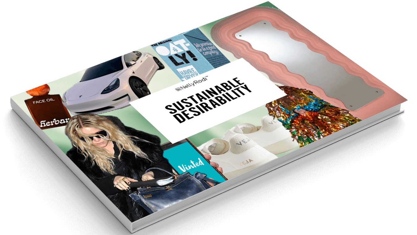 SUSTAINABLE DESIRABILITY Mockup