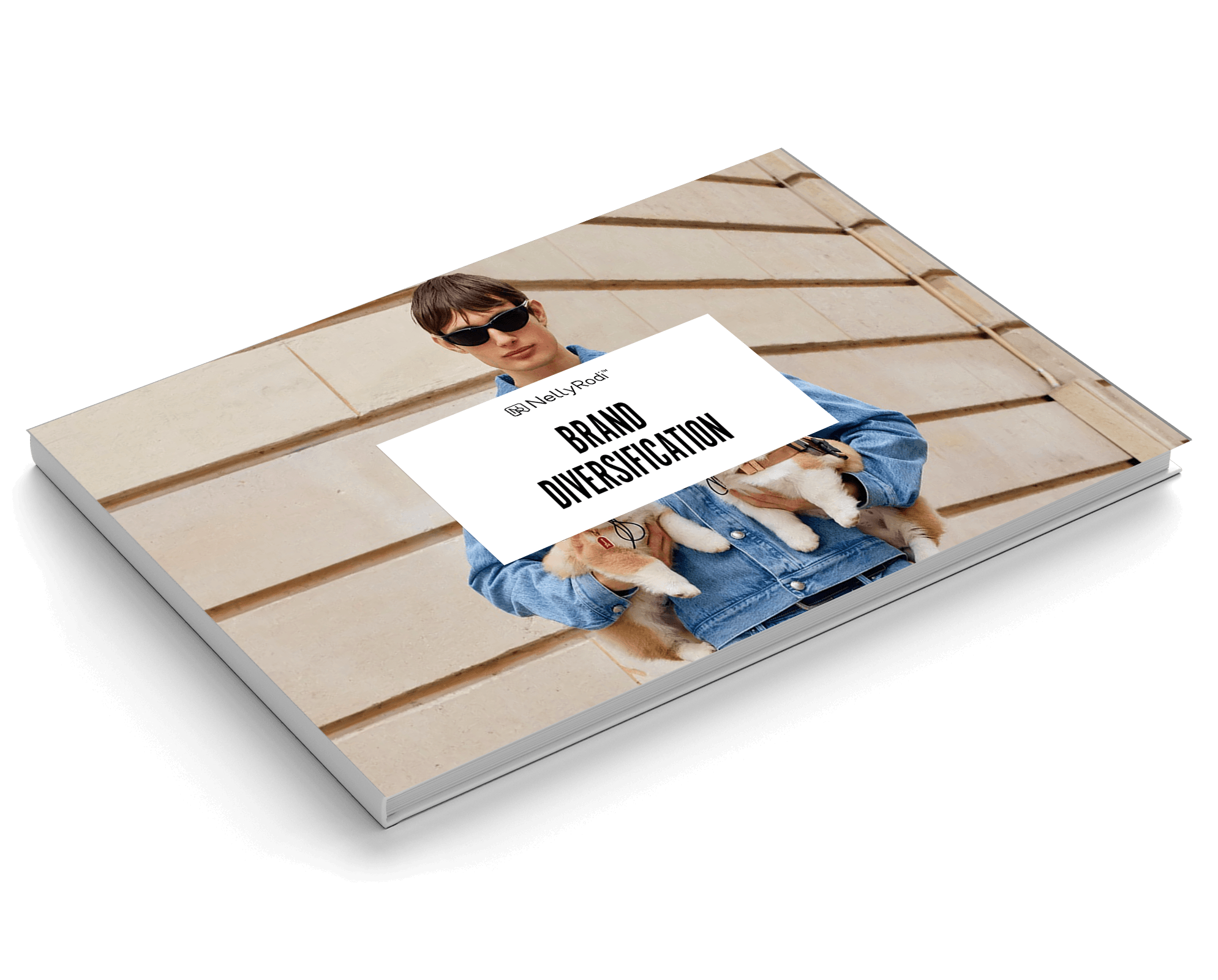 Brand diversification étude